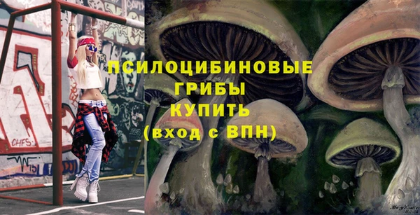 прущая мука Касимов
