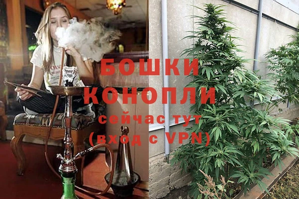 ECSTASY Карталы
