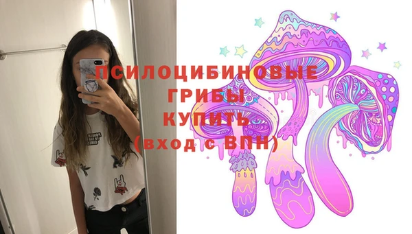 a pvp Карпинск