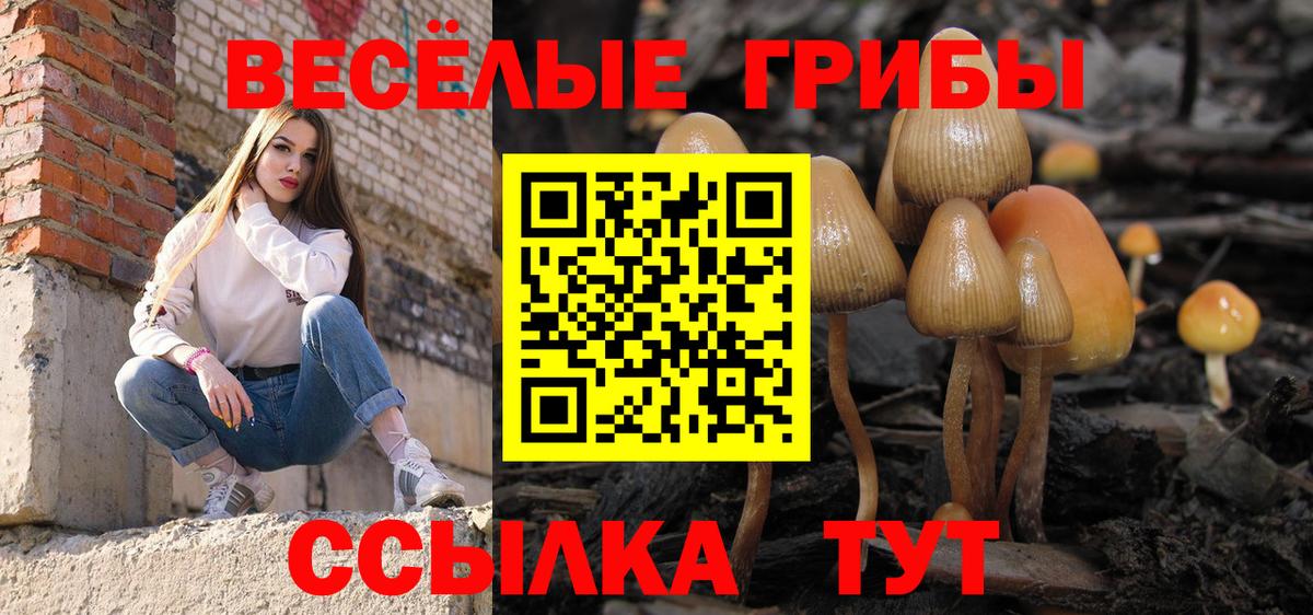 Челябинск  даркнет сайт  Вход с VPN  Галлюциногенные грибы GOLDEN TEACHER 