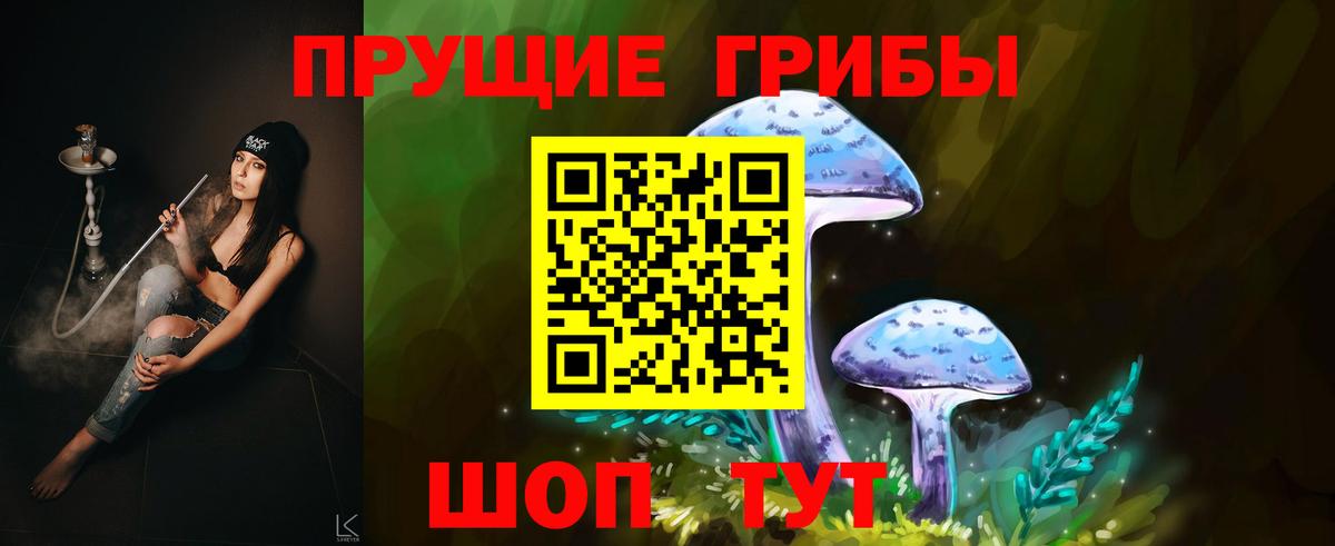 Псилоцибиновые грибы Cubensis Челябинск